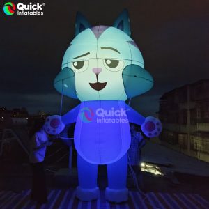 inflatable cat