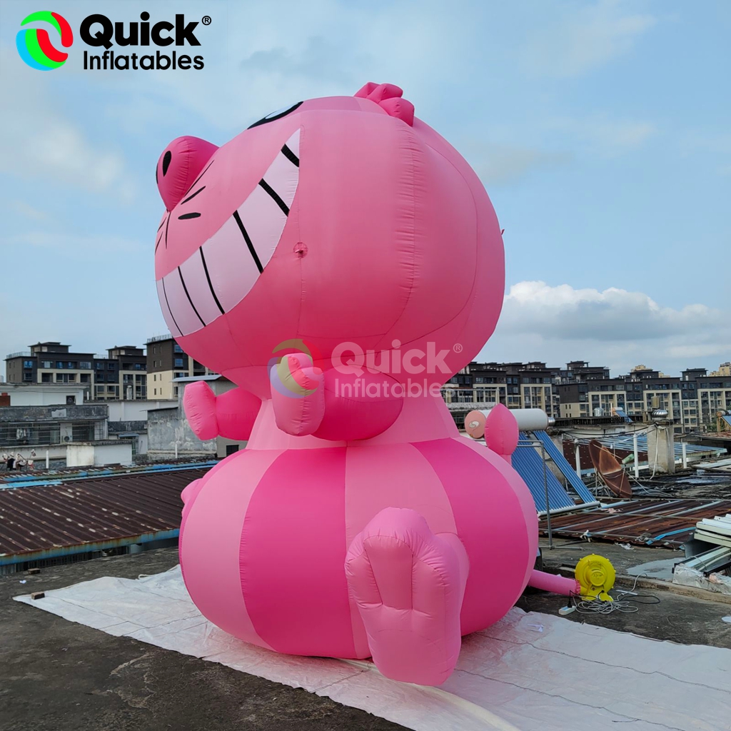 inflatable cat