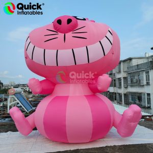 inflatable cat