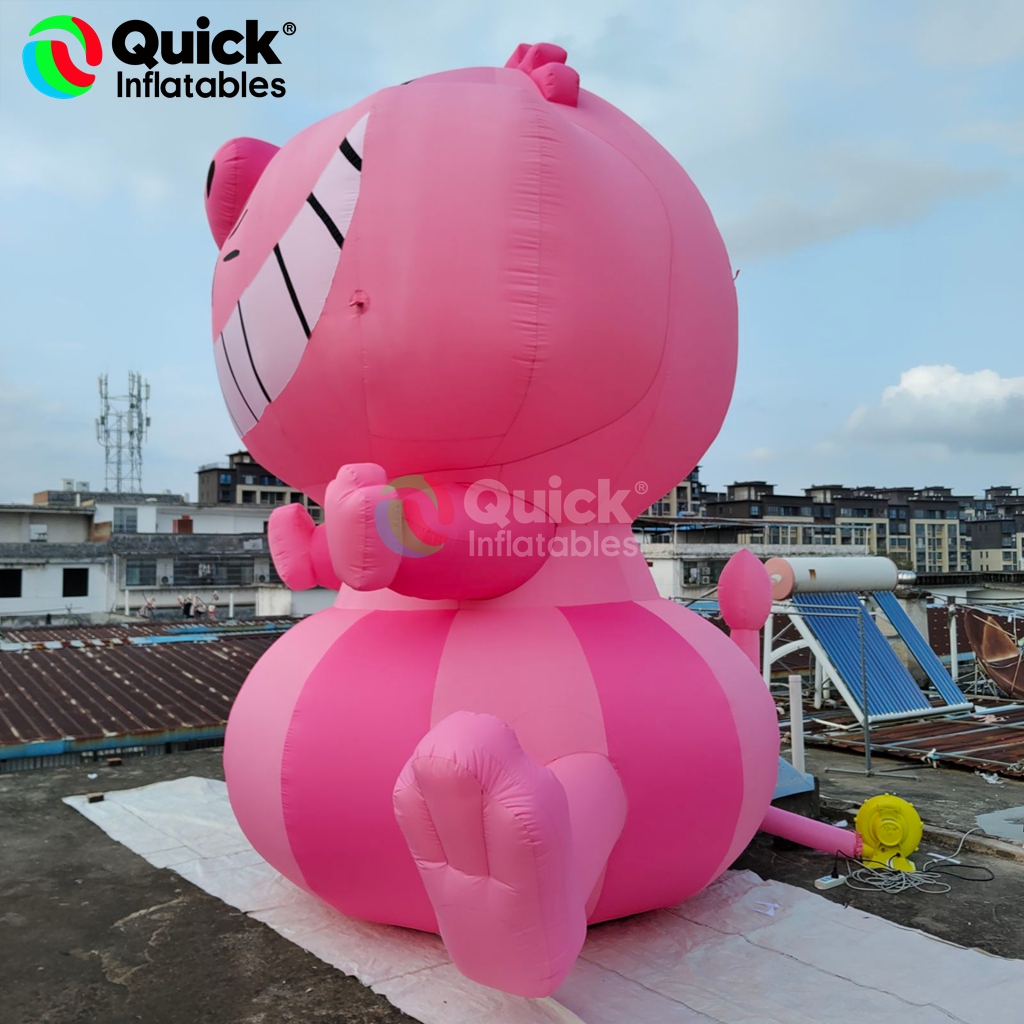 inflatable cat