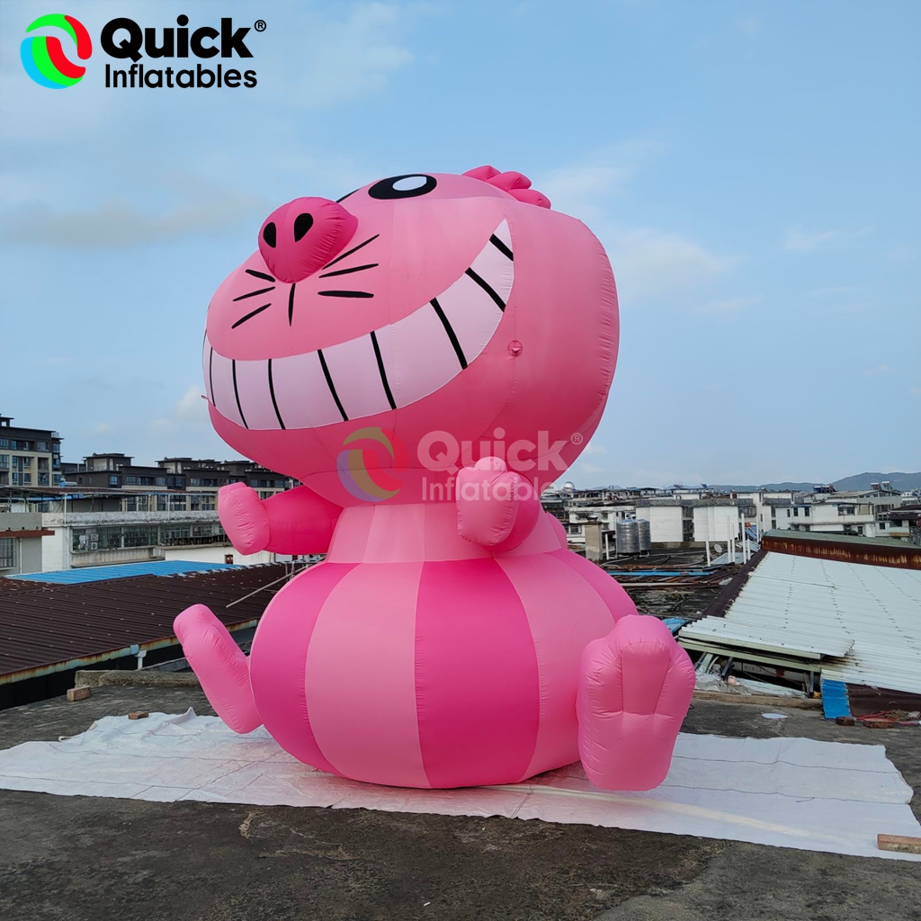 inflatable cat