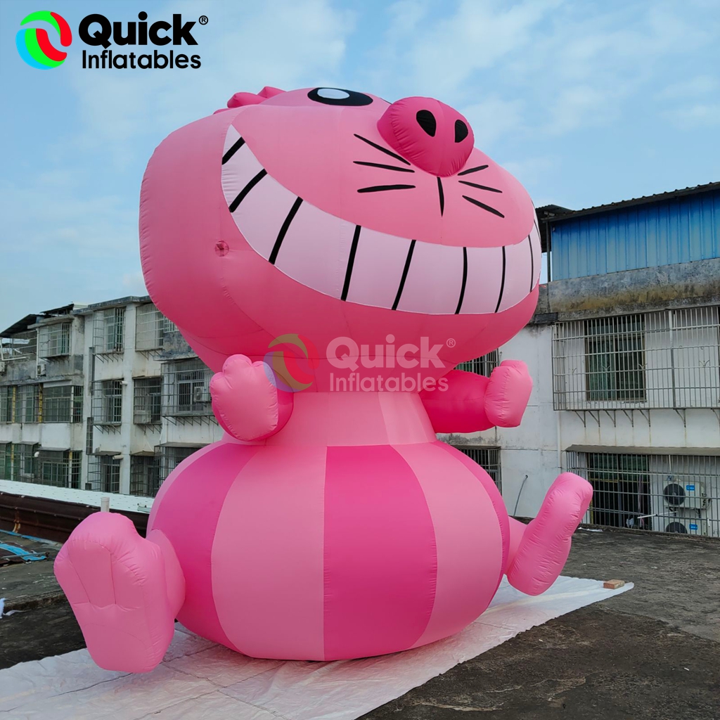 inflatable cat