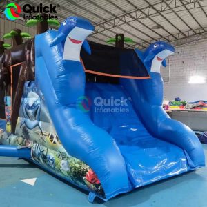 Inflatable Slide