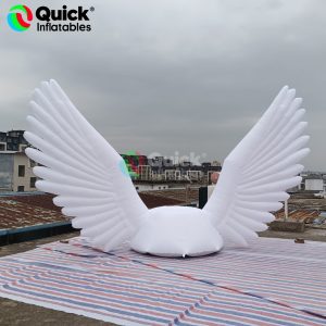 inflatable wings